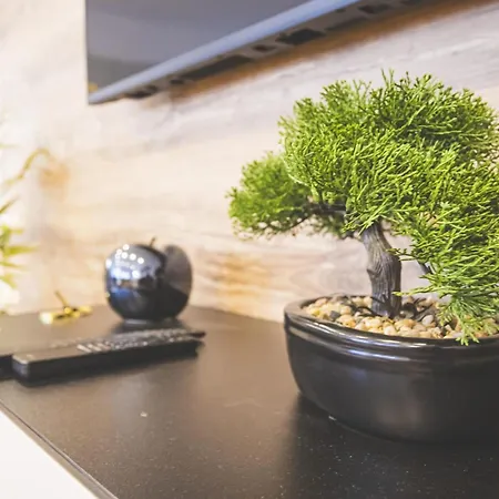 Mas Blanc Terrace Sauna Parking Appartamento Orbey